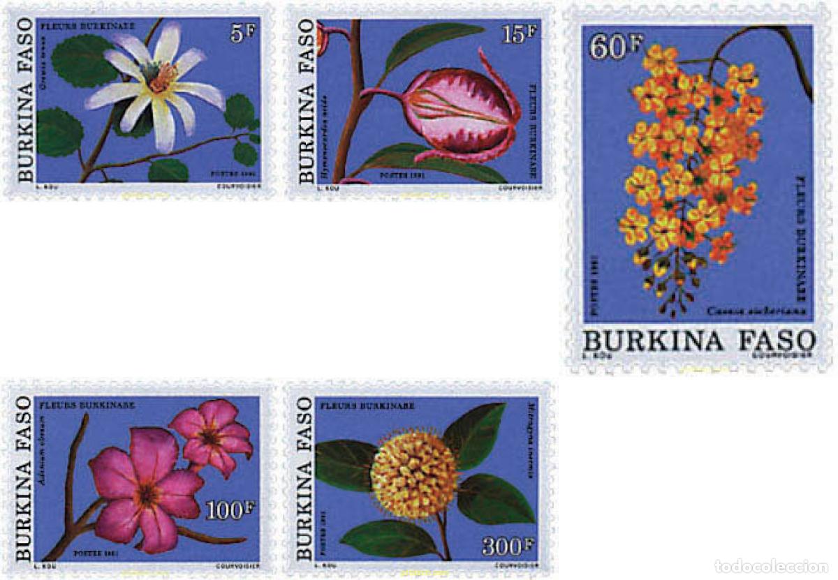 Sellos: 81938 MNH BURKINA FASO 1991 FLORES DE BURKINA