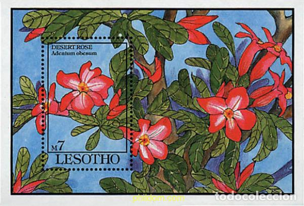 Sellos: 337960 MNH LESOTHO 1993 FLORES