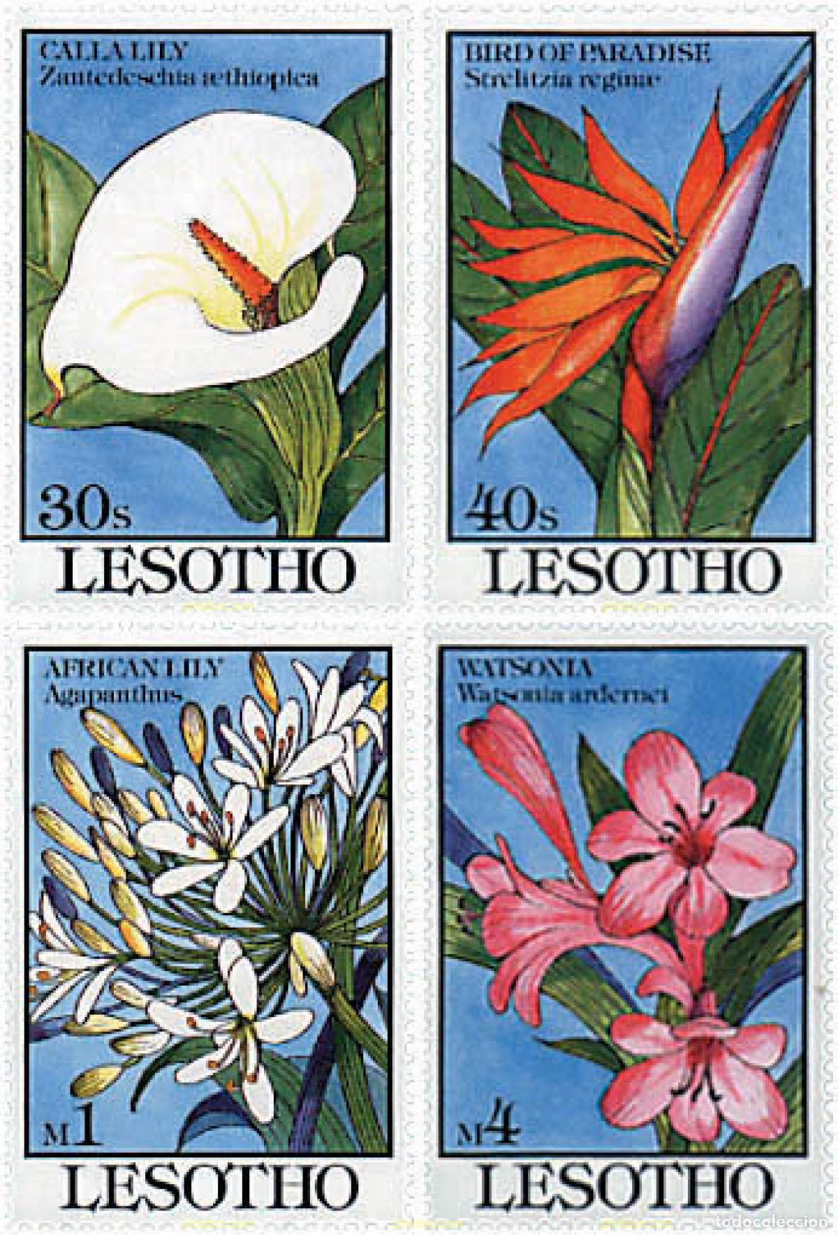 Sellos: 337959 MNH LESOTHO 1993 FLORES