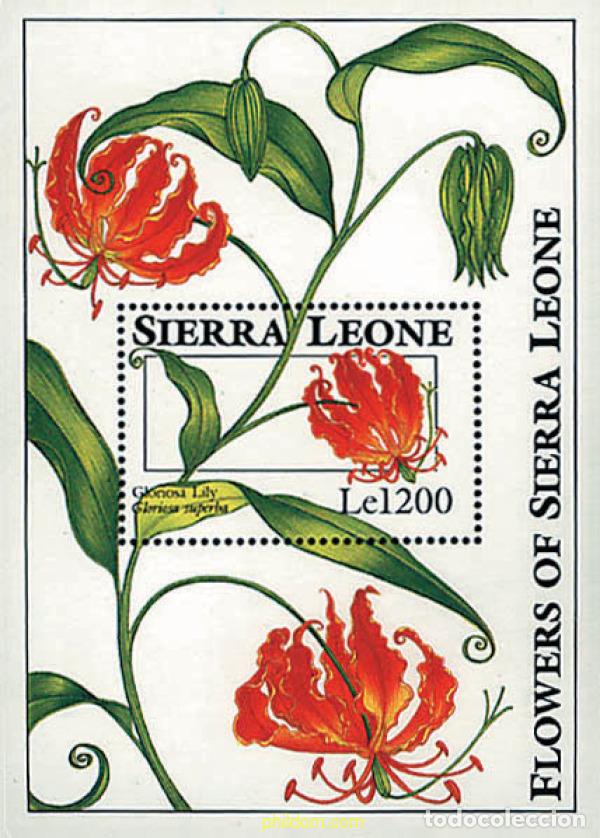 Sellos: 362159 MNH SIERRA LEONA 1993 FLORES DE SIERRA LEONA