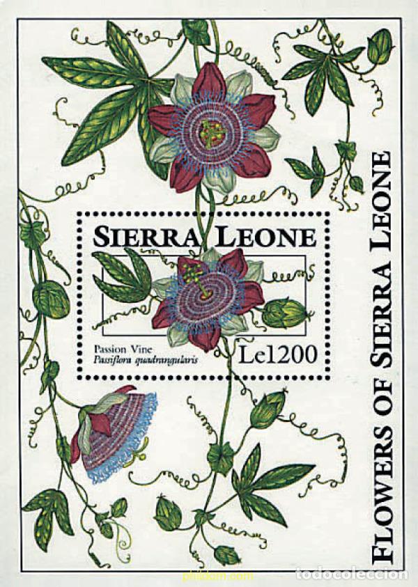 Sellos: 362166 MNH SIERRA LEONA 1993 FLORES DE SIERRA LEONA