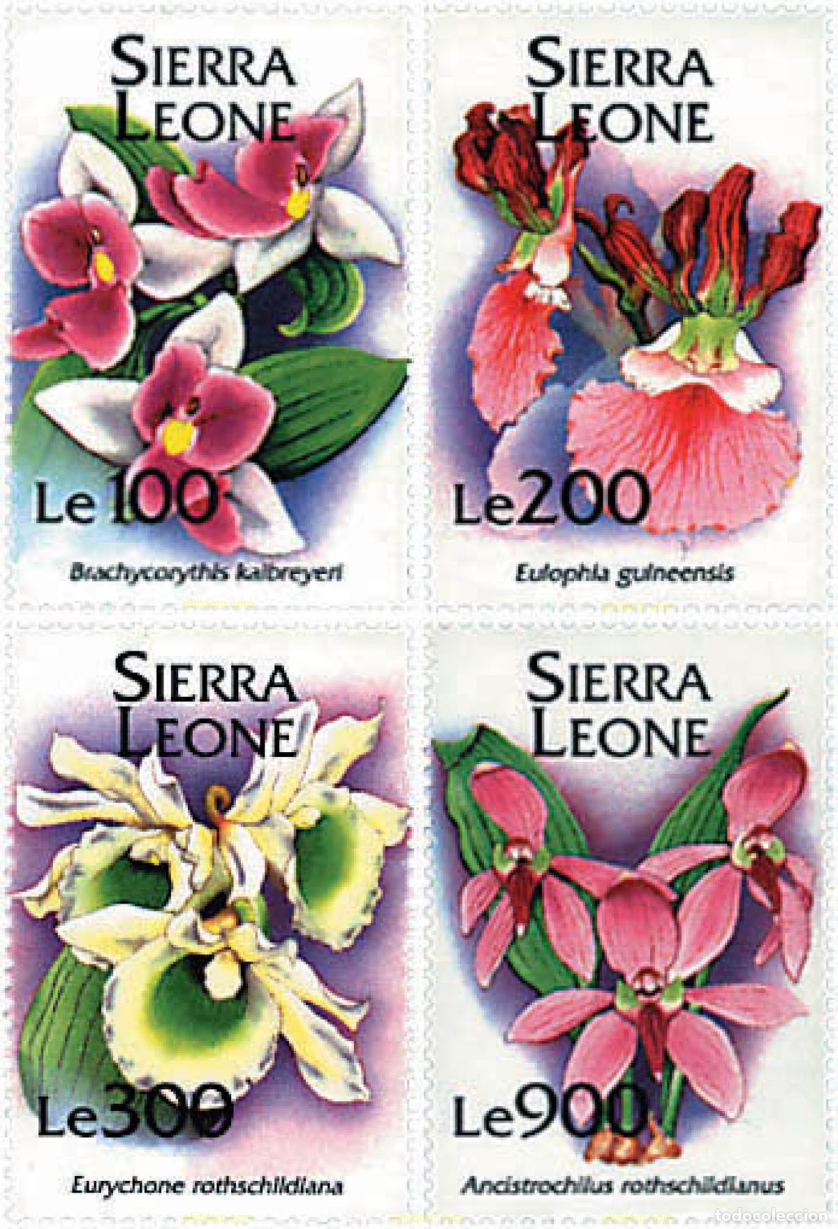 Sellos: 362227 MNH SIERRA LEONA 1994 ORQUIDEAS