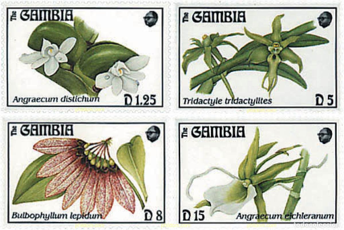 Sellos: 316909 MNH GAMBIA 1994 ORQUIDEAS DE GAMBIA