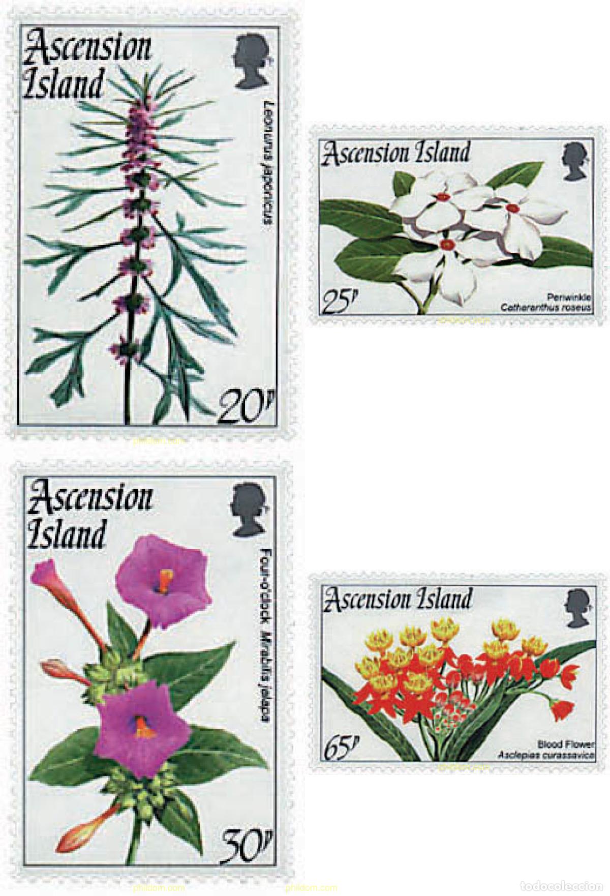 Sellos: 79828 MNH ASCENSION 1995 FLORES