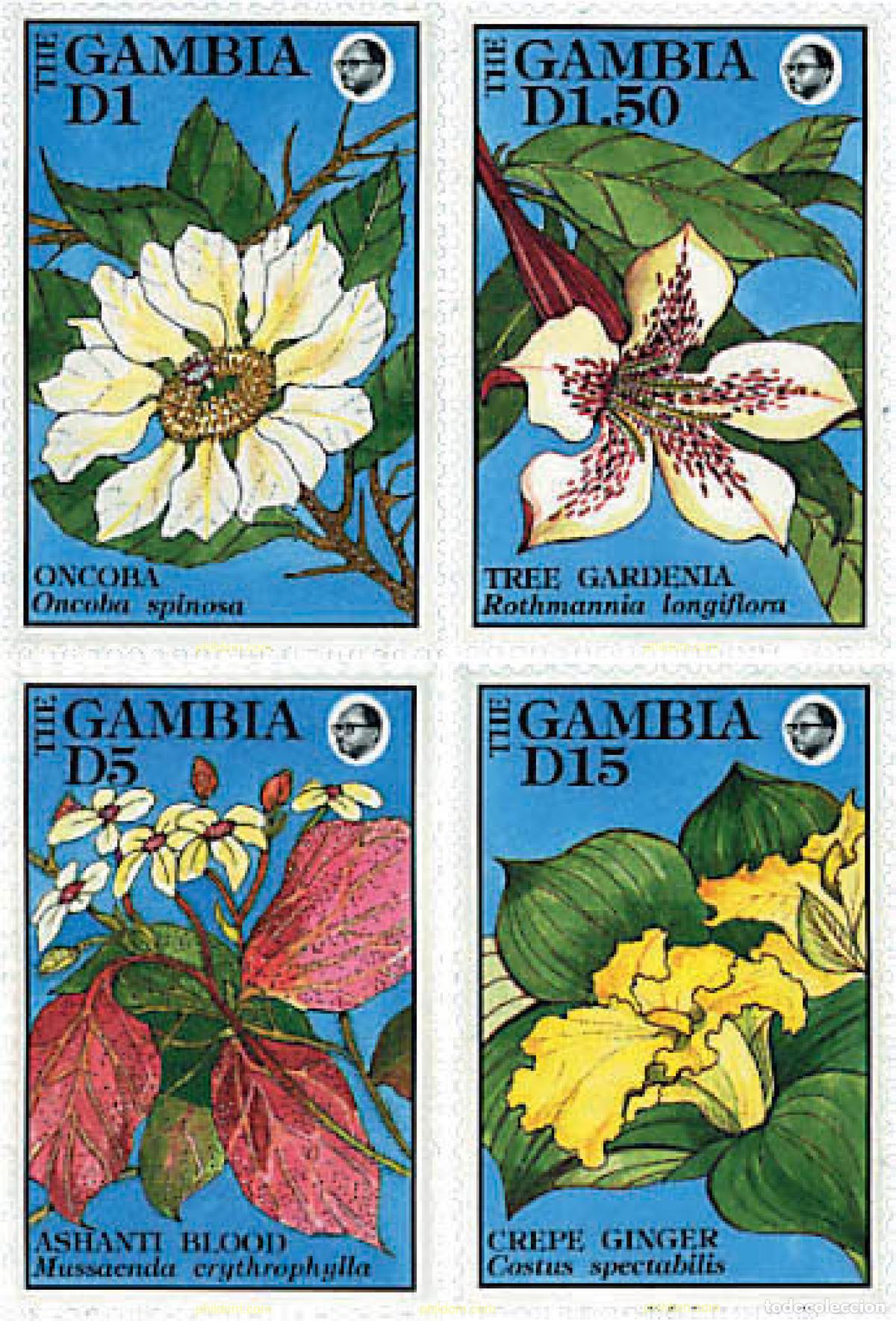 Sellos: 302940 MNH GAMBIA 1992 FLORES