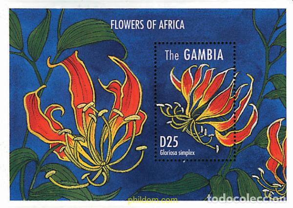 Sellos: 316983 MNH GAMBIA 1995 FLORES AFRICANAS