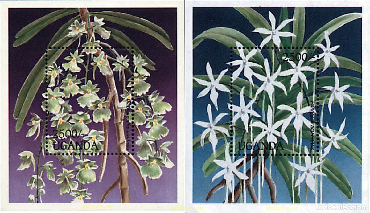 Sellos: 92441 MNH UGANDA 1995 ORQUIDEAS