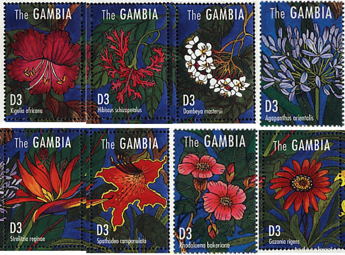 Sellos: 316982 MNH GAMBIA 1995 FLORES AFRICANAS