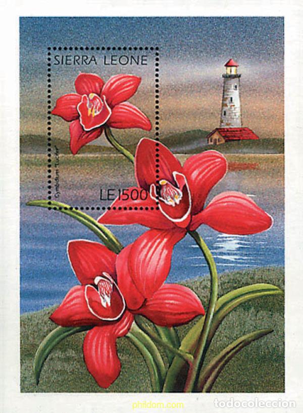 Sellos: 292315 MNH SIERRA LEONA 1996 FLORES DE SIERRA LEONA