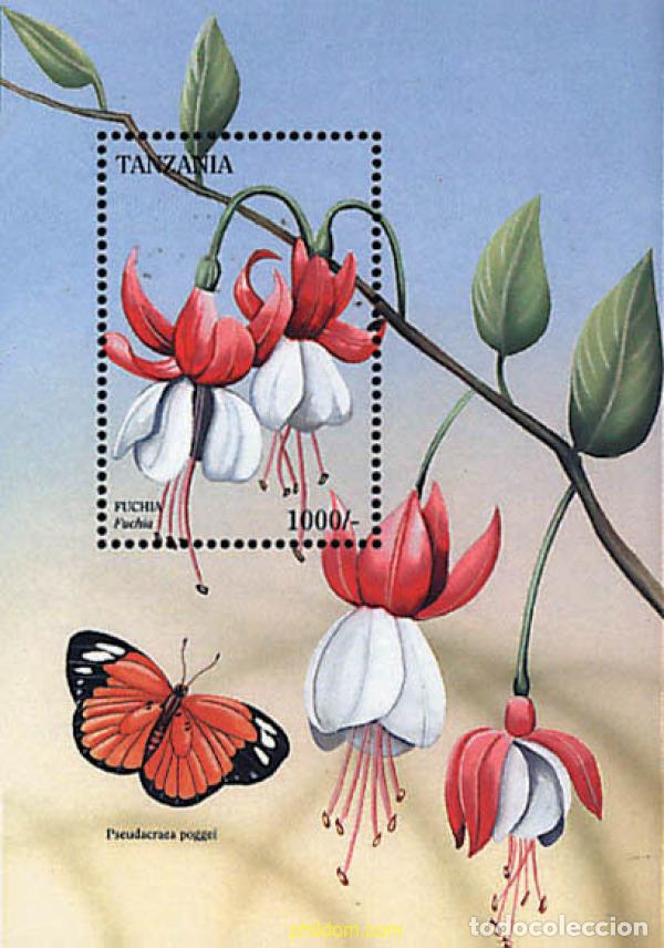 Sellos: 365354 MNH TANZANIA 1996 FLORES