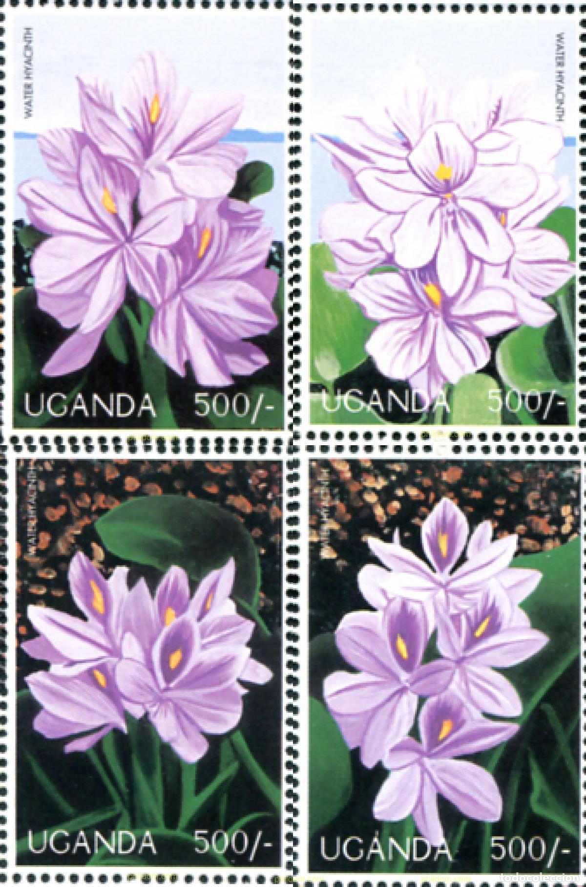 Sellos: 297596 MNH UGANDA 1997 PROTECCION DEL MEDIO AMBIENTE