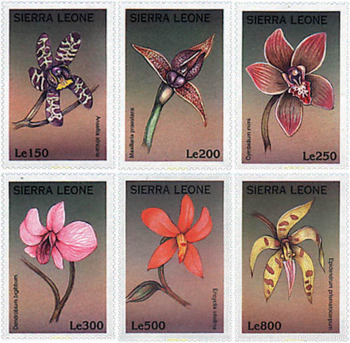 Sellos: 93505 MNH SIERRA LEONA 1997 ORQUIDEAS DEL MUNDO