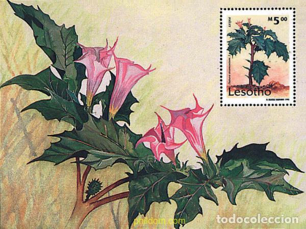 Sellos: 94413 MNH LESOTHO 1995 PLANTAS MEDICINALES