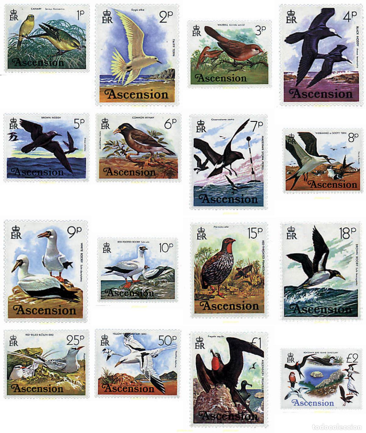 Sellos: 72656 MNH ASCENSION 1976 AVES