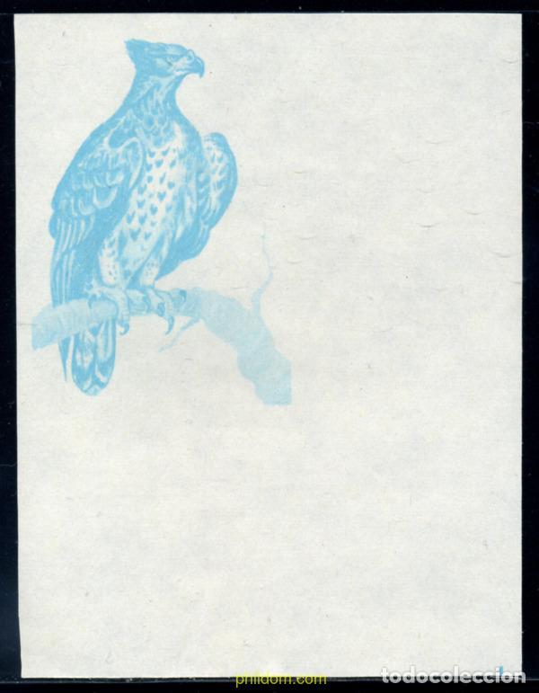 Sellos: 270197 MNH BURUNDI 1965 AVES