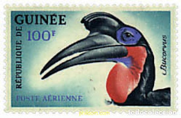 Sellos: 668505 MNH GUINEA 1962 AVES