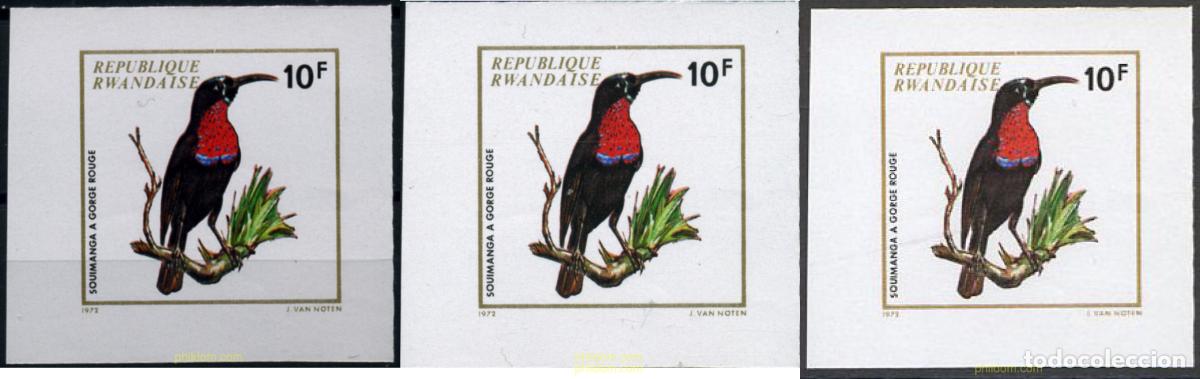 Sellos: 221826 MNH RUANDA 1972 AVES