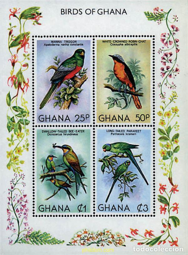 Sellos: 91124 MNH GHANA 1981 AVES