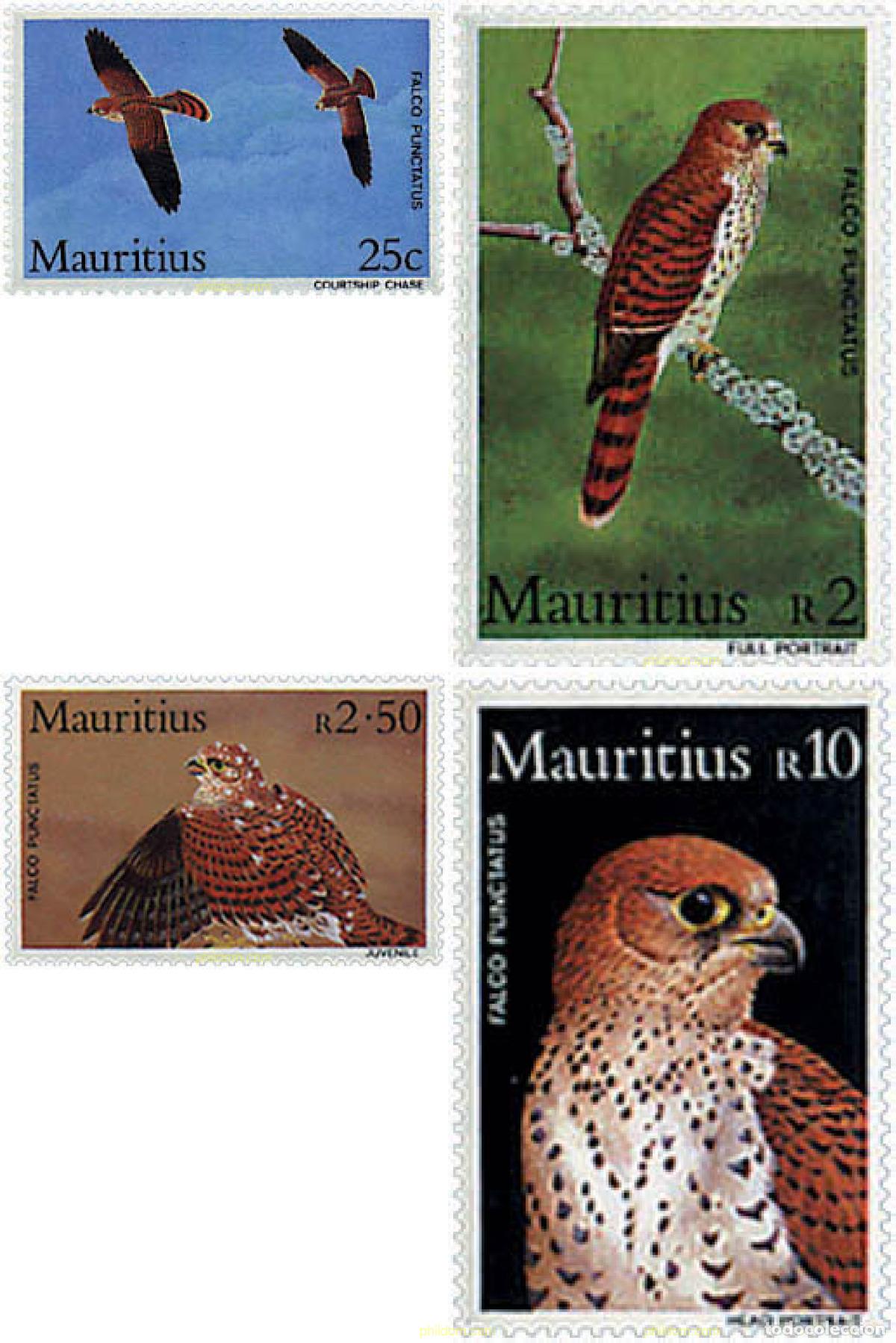 Stamps: 34064 MNH MAURICIO 1984 AVES. HALCON