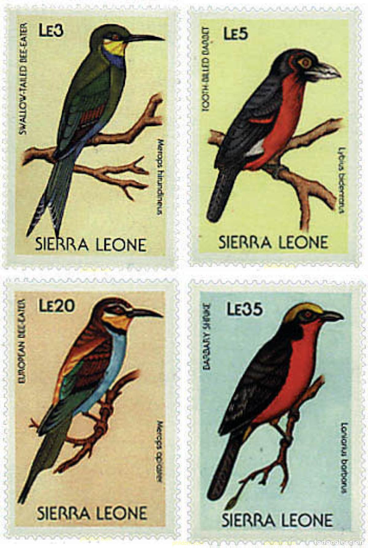 Sellos: 329425 MNH SIERRA LEONA 1988 AVES