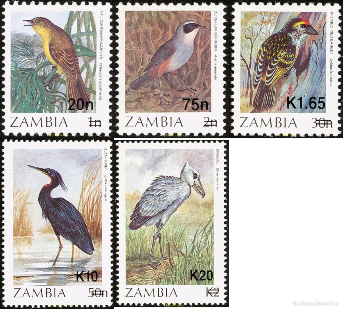 Sellos: 182438 MNH ZAMBIA 1987 AVES