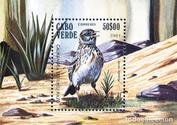 Sellos: 32723 MNH CABO VERDE 1981 AVES