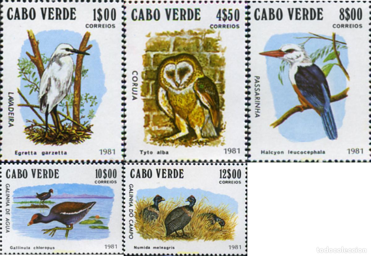Sellos: 32722 MNH CABO VERDE 1981 AVES