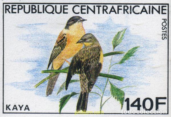 Sellos: 207424 MNH CENTROAFRICANA 1981 AVES