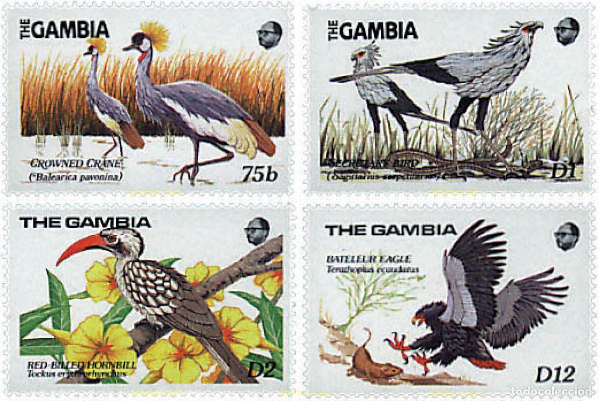 Sellos: 316806 MNH GAMBIA 1989 AVES