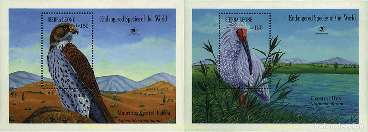 Sellos: 35871 MNH SIERRA LEONA 1989 EXPO 89. EXPOSICION UNIVERSAL DE WASHINGTON