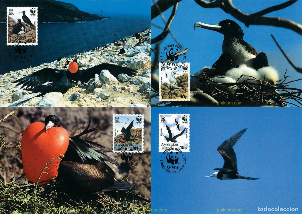 Sellos: 7563 MNH ASCENSION 1990 FRAGATA DE ASCENSION