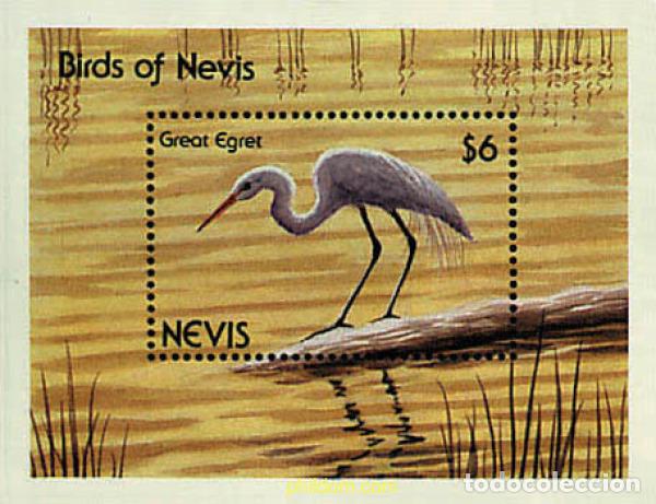 Sellos: 33338 MNH NEVIS 1991 AVES