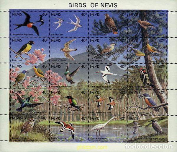 Sellos: 276338 MNH NEVIS 1991 AVES