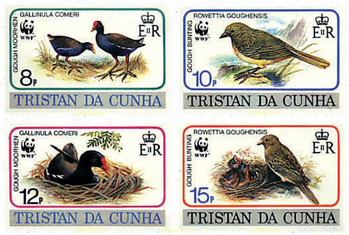 Sellos: 74324 MNH TRISTAN DA CUNHA 1991 POLLA DE AGUA DE GOUGH, SEMILLERO DE GOUGH