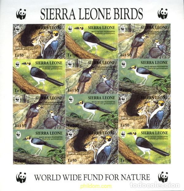 Sellos: 12758 MNH SIERRA LEONA 1994 PAVO CALVO DE GUINEA