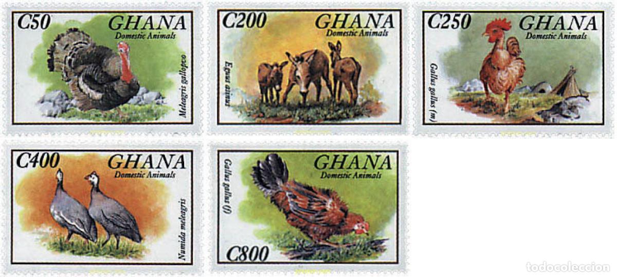 Sellos: 317473 MNH GHANA 1993 FAUNA DOMESTICA