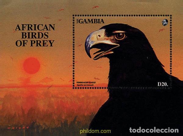 Sellos: 316890 MNH GAMBIA 1993 AVES DE PRESA