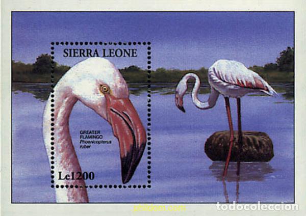 Sellos: 362230 MNH SIERRA LEONA 1994 PROTECCION DE LA NATURALEZA