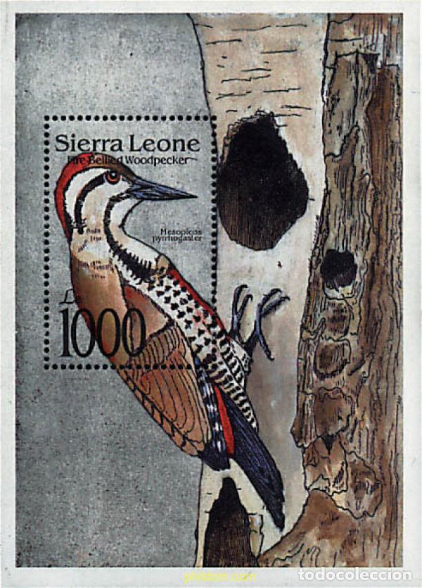 Sellos: 362139 MNH SIERRA LEONA 1992 AVES