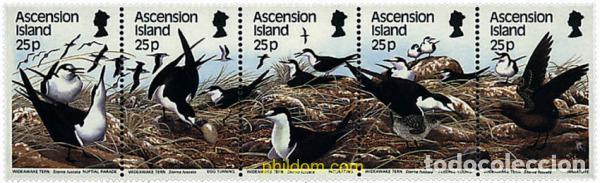 Sellos: 183472 MNH ASCENSION 1988 AVES MARINAS