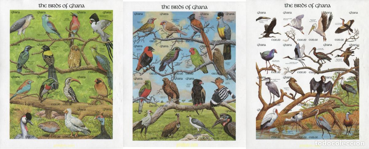 Sellos: 369962 MNH GHANA 1991 AVES