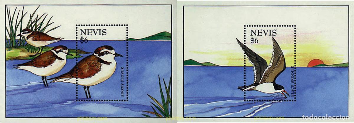 Sellos: 32113 MNH NEVIS 1995 AVES ACUATICAS