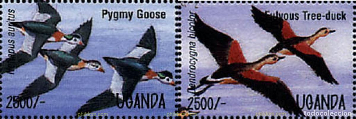 Sellos: 102779 MNH UGANDA 1995 AVES ACUATICAS