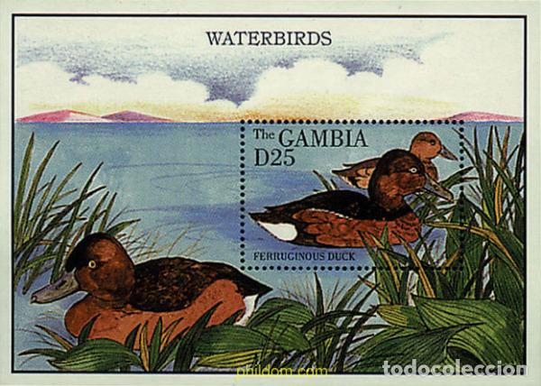 Sellos: 316923 MNH GAMBIA 1995 AVES ACUATICAS
