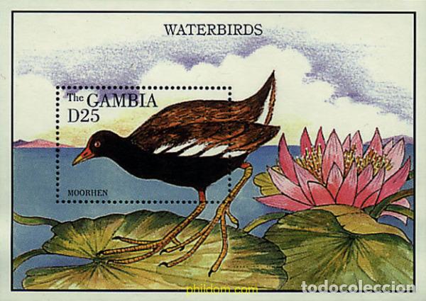 Sellos: 316924 MNH GAMBIA 1995 AVES ACUATICAS