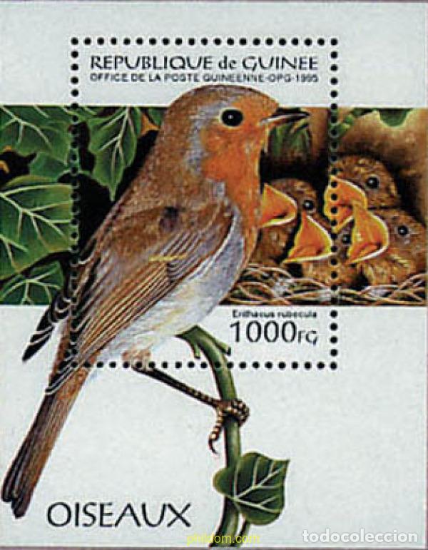 Sellos: 36606 MNH GUINEA 1995 PAJARO