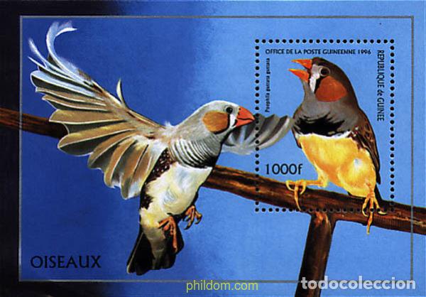 Sellos: 35634 MNH GUINEA 1996 AVES