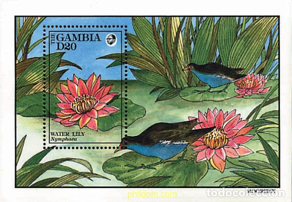 Sellos: 302218 MNH GAMBIA 1992 FLORES