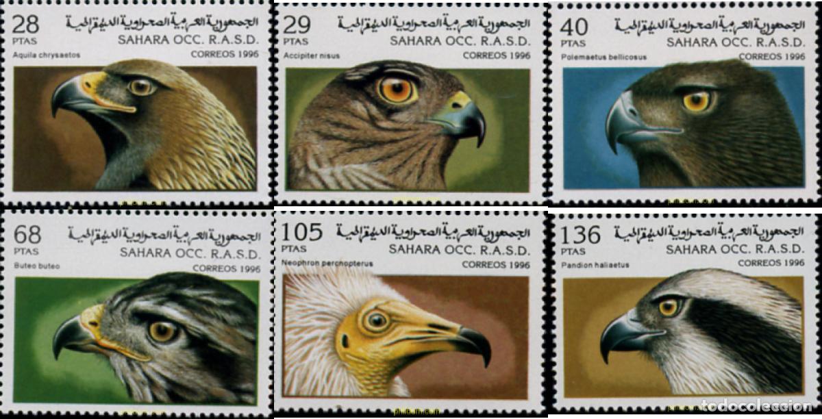Sellos: 204681 MNH REPUBLICA ARABE SAHAURI DEMOCRATICA 1996 AVES