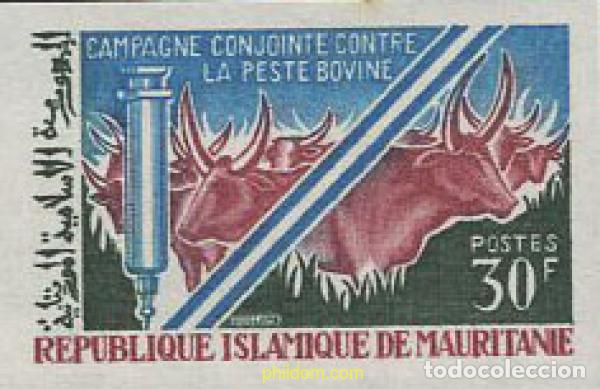 Sellos: 652098 MNH MAURITANIA 1967 LUCHA CONTRA LA PESTE BOVINA.